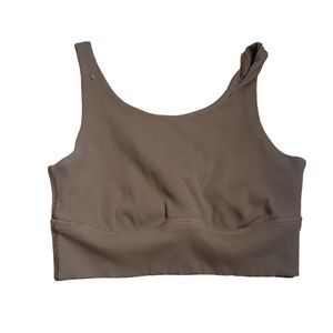 Aerie Brown Ribbed Bra